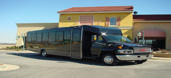 18-Passenger-Minibus-1