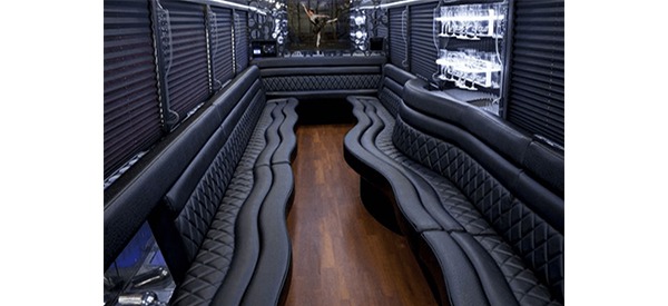 30-passenger-party-bus-black-4